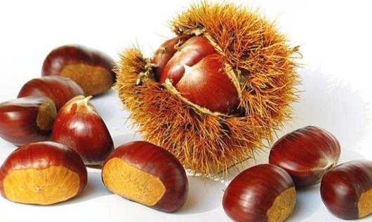 便秘吃什么好?小編分享十種通便食物-易網健康養生網 便秘吃什么好?小編分享十種通便食物