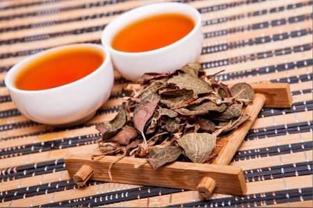 金線蓮的六大功效與作用，清熱養顏幫你去除痘痘粉刺