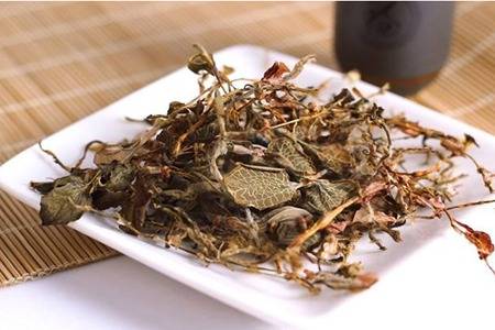 金線蓮的六大功效與作用，清熱養顏幫你去除痘痘粉刺