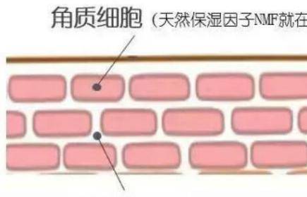 護膚小知識：皮膚很薄適合洗面嗎？