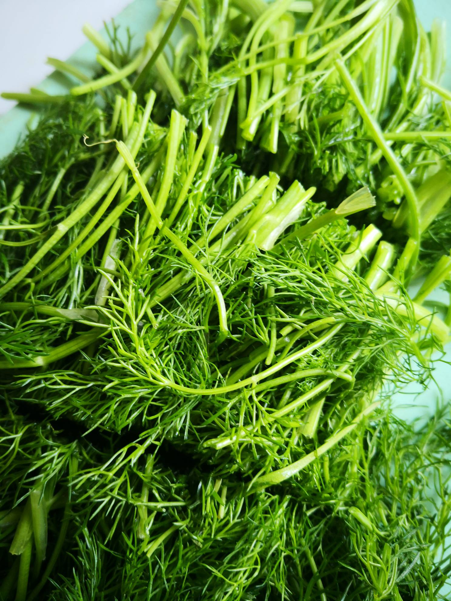 葷香豇豆烀咸菜的做法-家常味燉菜譜