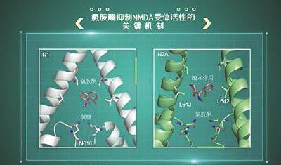 看清它的結構，人類有望“完美”對抗抑郁