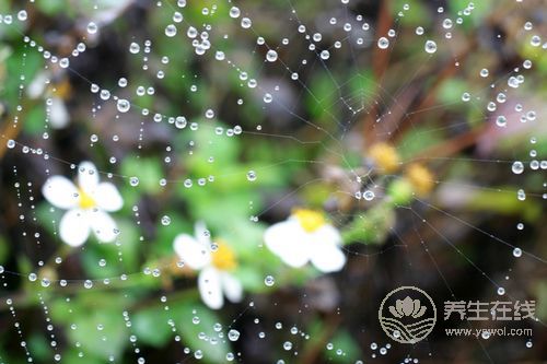 千寒易除，一濕難去，夏天祛濕怎么做？