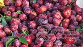 夏季養(yǎng)生吃什么好?