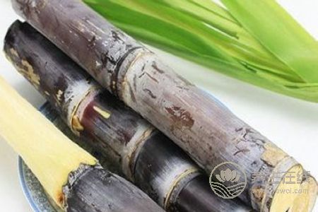 春季預(yù)防慢性咽炎方法有哪些?