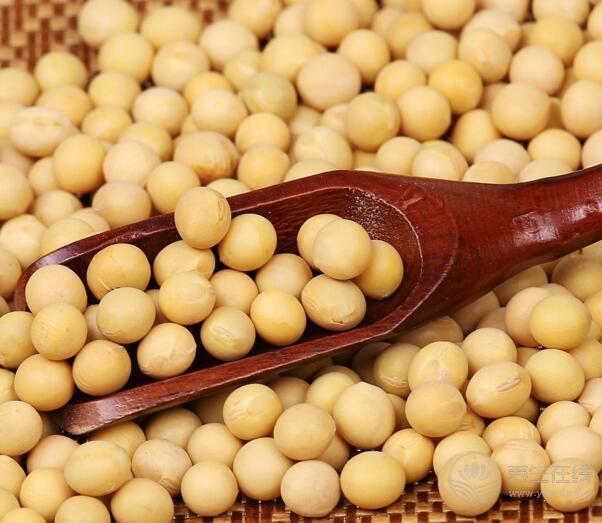 霜降后,<a href=http://www.gyfww.com/jkys/ target=_blank class=infotextkey>養(yǎng)生</a>吃這5種食物最合適 霜降后,養(yǎng)生吃這5種食物最合適