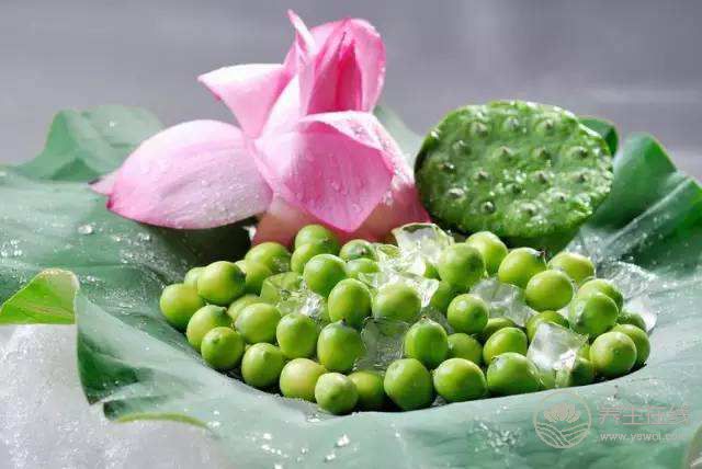 大暑如何養生 大暑如何養生