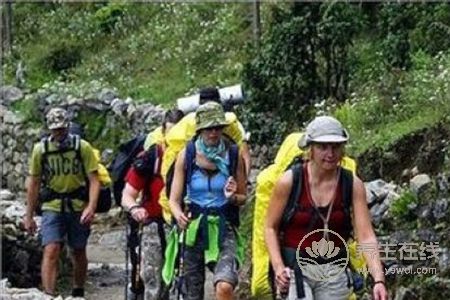 春季適合做哪些戶外運(yùn)動?