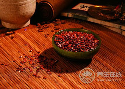 濕氣重喝什么茶好？適合夏季喝的8款祛濕茶