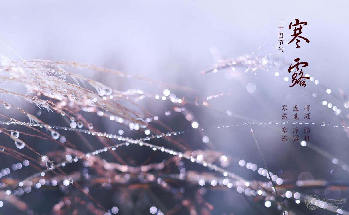 秋冬季節養生就吃它，2塊1斤滋補賽人參