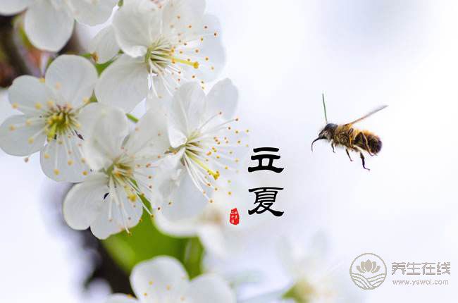 初夏五月、飲食起居養(yǎng)生大法，了解一下