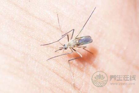 夏季預(yù)防蚊蟲叮咬的方法是什么? 夏季預(yù)防蚊蟲叮咬的方法是什么?