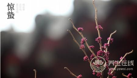 2019年什么時候驚蟄 驚蟄時間是幾點幾分 2019年什么時候驚蟄 驚蟄時間是幾點幾分