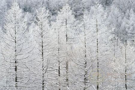 大雪節(jié)氣調(diào)理身體非常重要