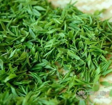 清明茶什么時候采?喝清明茶有哪些好處 清明茶什么時候采?喝清明茶有哪些好處