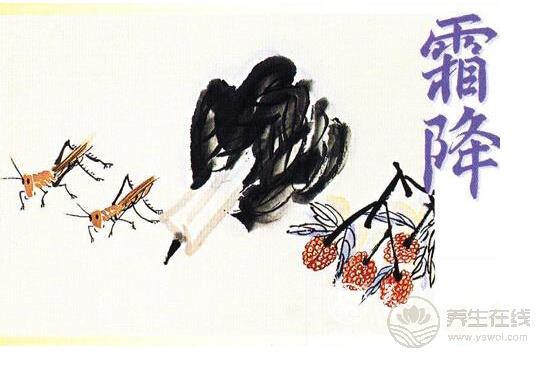 霜降養生是什么? 霜降養生是什么?