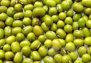 夏日必吃四大樣食補(bǔ)食物