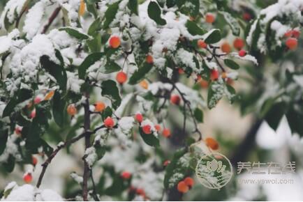 2018年立冬短信祝福語大全 2018年立冬短信祝福語大全