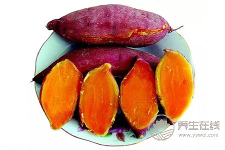 冬天進補吃什么好?