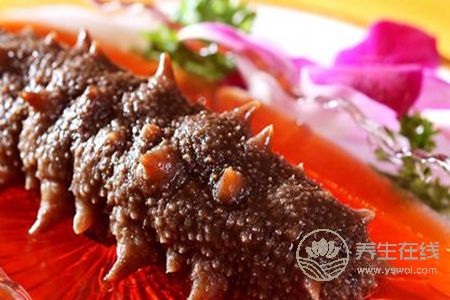 春季吃海參好嗎