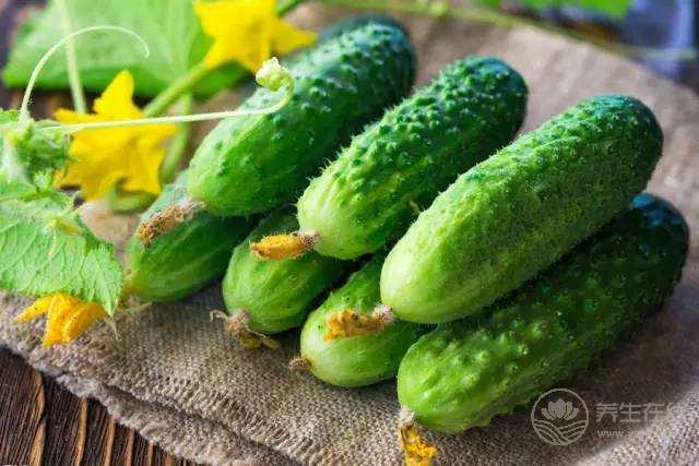 夏天吃黃瓜竟有這么多好處 可獲十大營養(yǎng)功效 夏天吃黃瓜竟有這么多好處 可獲十大營養(yǎng)功效