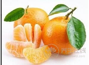 秋天五種養生水果推薦