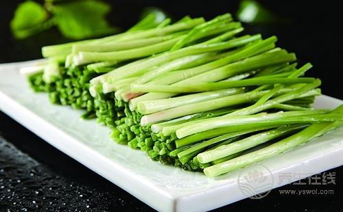 春季養生保健菜 吃韭菜的七個學問