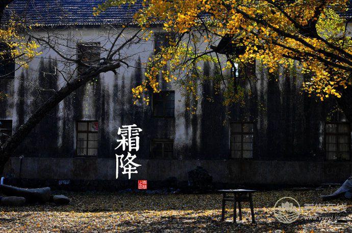 2018霜降時間_霜降是什么時候_吃什么<a href=http://www.gyfww.com/jkys/ target=_blank class=infotextkey>養生</a>_霜降習俗 2018霜降時間_霜降是什么時候_吃什么養生_霜降習俗