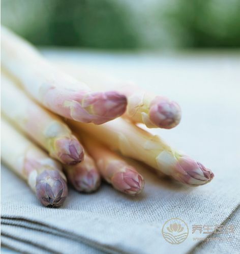 夏季讓孩子多吃4種蔬菜，清涼健腦