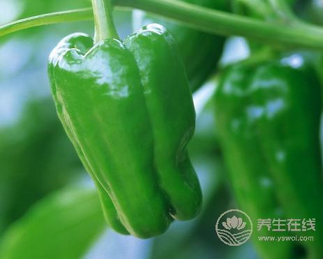 夏季五種食品能有效緩解便秘 夏季五種食品能有效緩解便秘