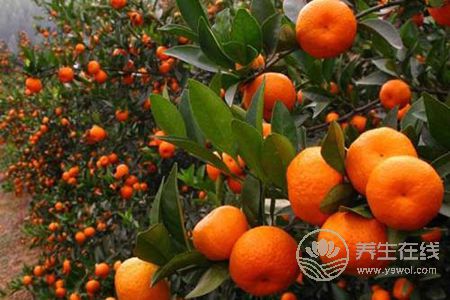 冬季感冒吃哪些果蔬好呢? 冬季感冒吃哪些果蔬好呢?