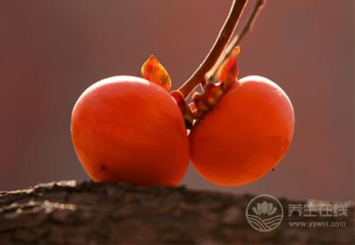 進入十月份,常吃這些水果,養人又養生 進入十月份,常吃這些水果,養人又養生