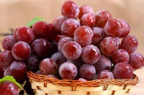 立秋之后葡萄熟了,但別亂吃,不同顏色的葡萄作用不同 立秋之后葡萄熟了,但別亂吃,不同顏色的葡萄作用不同