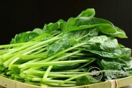 春天吃蔬菜有哪些注意事項?