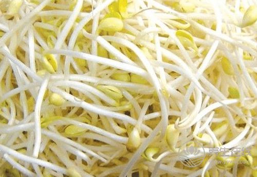 春天多吃這4種蔬菜，好吃更健康