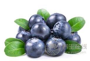 夏季養(yǎng)生吃什么好?