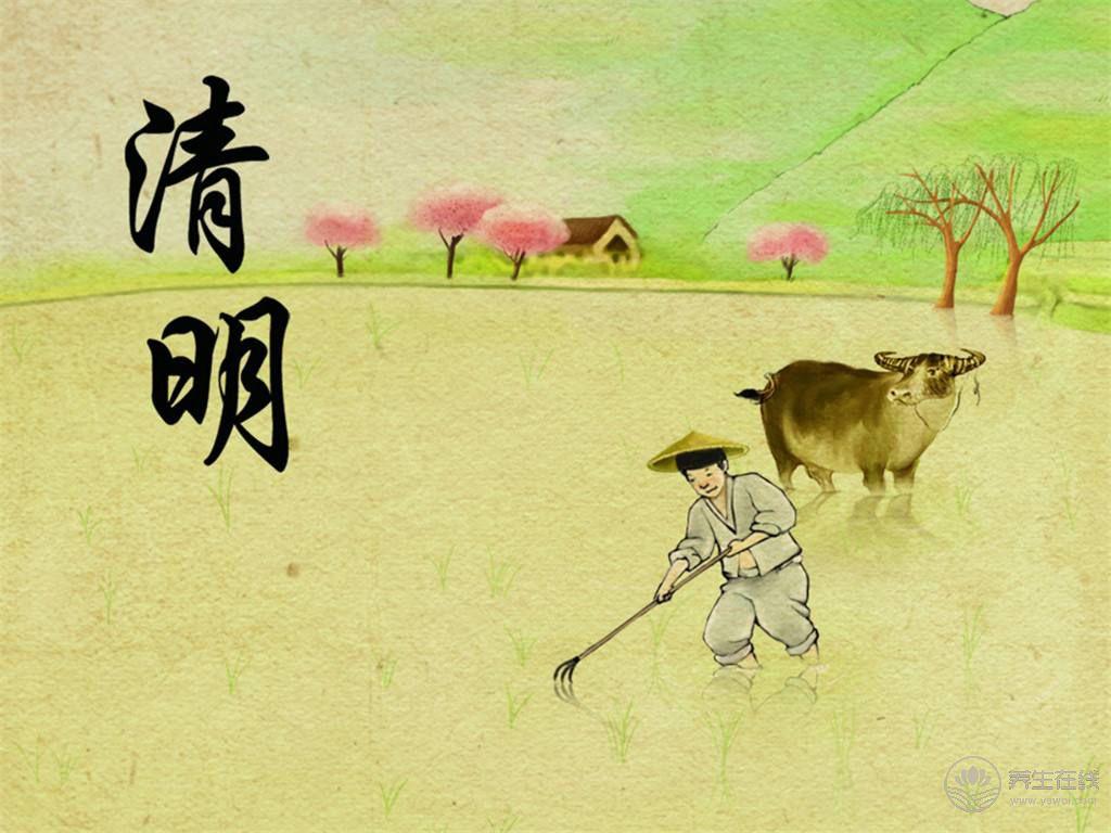 清明節氣<a href=http://www.gyfww.com/jkys/ target=_blank class=infotextkey>養生</a>飲食:多吃護肝食品少吃“發物” 清明節氣養生飲食:多吃護肝食品少吃“發物”