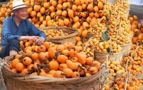 4月晚春多吃6種蔬果養生 不吃就過季了