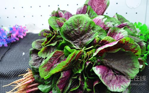 秋冬不生病，立秋多吃4種祛濕蔬菜