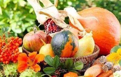 秋季該怎么吃更養生，這些小妙招必須要知道