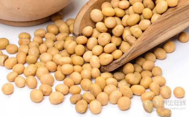 立冬吃什么養生 十大美食吃吃健康苗條 立冬吃什么養生 十大美食吃吃健康苗條