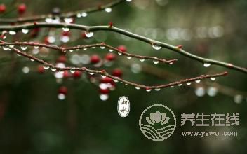 2019年雨水巧遇元宵節，二十四節氣之雨水養生篇