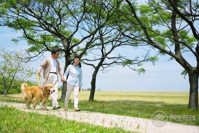 大暑養(yǎng)生“慢”運(yùn)動(dòng)可健身 大暑養(yǎng)生“慢”運(yùn)動(dòng)可健身