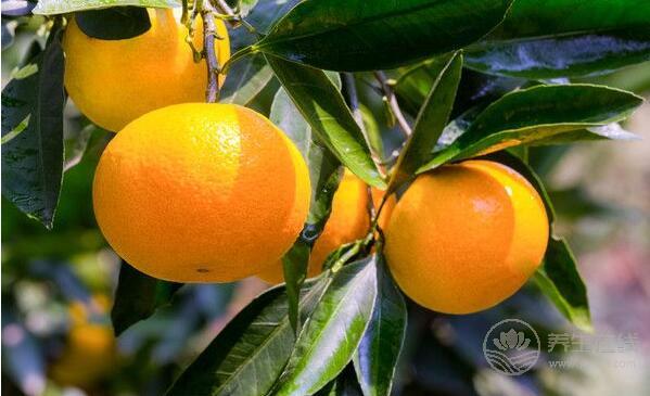 秋燥喉嚨痛怎么辦？吃五種水果可快速止痛化痰