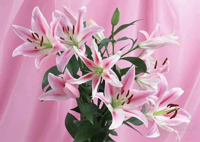 立冬吃什么養生 十大美食吃吃健康苗條 立冬吃什么養生 十大美食吃吃健康苗條