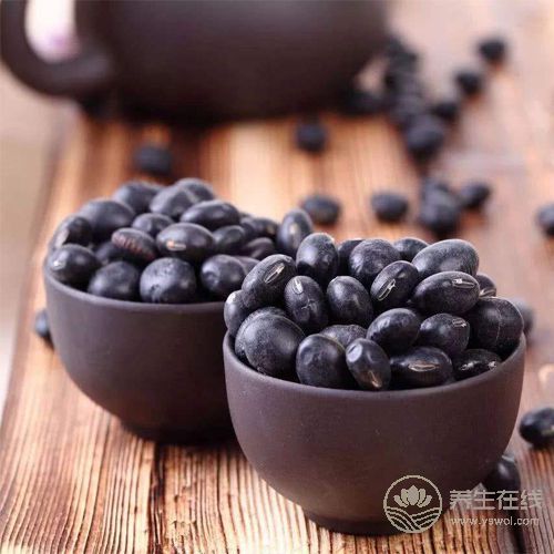 冬季宜養腎，常吃4種食物讓腎臟恢復活力