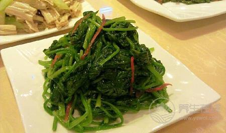 夏至養生食譜有哪些 三款美食清涼開胃 夏至養生食譜有哪些 三款美食清涼開胃