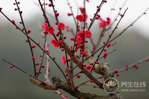 南方“倒春寒”來襲 如何應(yīng)對不生病