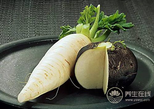 秋季吃白蘿卜好,能治咽喉炎治頭痛治凍瘡 秋季吃白蘿卜好,能治咽喉炎治頭痛治凍瘡