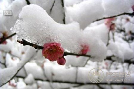 大雪節氣天氣有哪些特點?